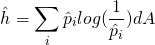 \begin{equation*}\hat{h}=\sum_i \hat{p}_i log(\frac{1}{\hat{p}_i}) dA\end{equation*}